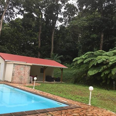 Les Lucioles 1 Beau T2 En Foret Tropicale Avec Acces Piscine Saint-Joseph Exterior foto