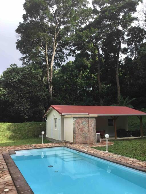Les Lucioles 1 Beau T2 En Foret Tropicale Avec Acces Piscine Saint-Joseph Exterior foto