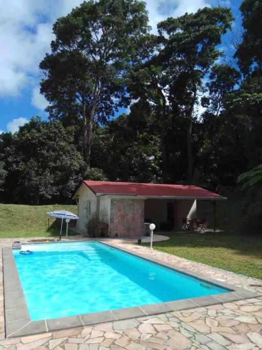 Les Lucioles 1 Beau T2 En Foret Tropicale Avec Acces Piscine Saint-Joseph Exterior foto